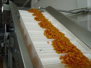 模块网输乐动在线官网-乐动在线平台
